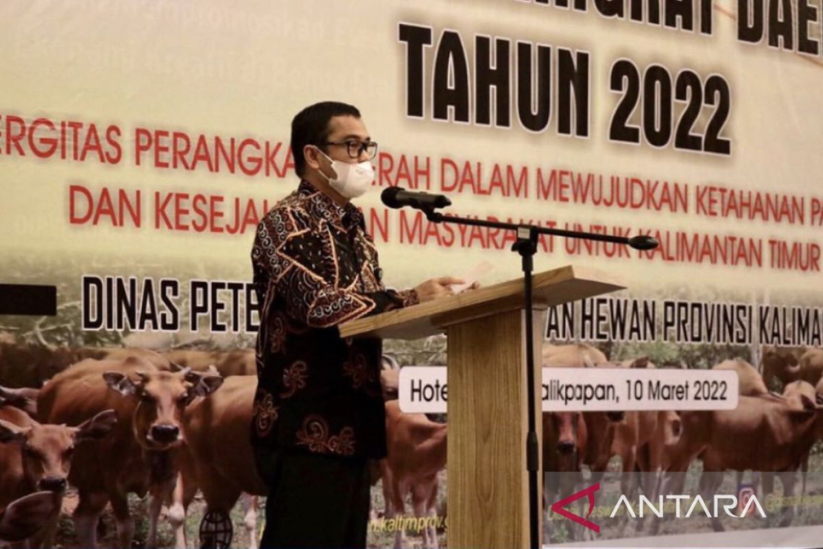 DPKH Kaltim tingkatkan produksi daging dan telur  dukung IKN