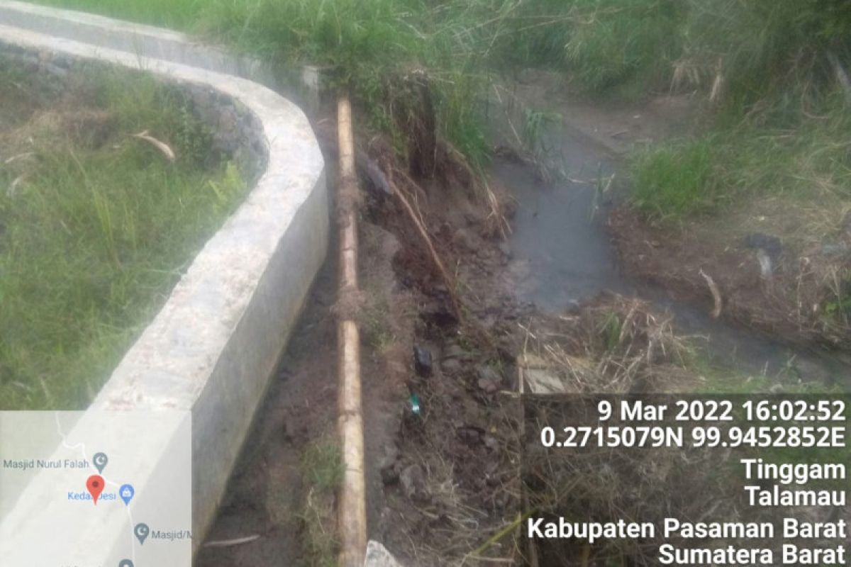 1.056 hektare sawah irigasi di Pasaman  Barat terancam kekeringan