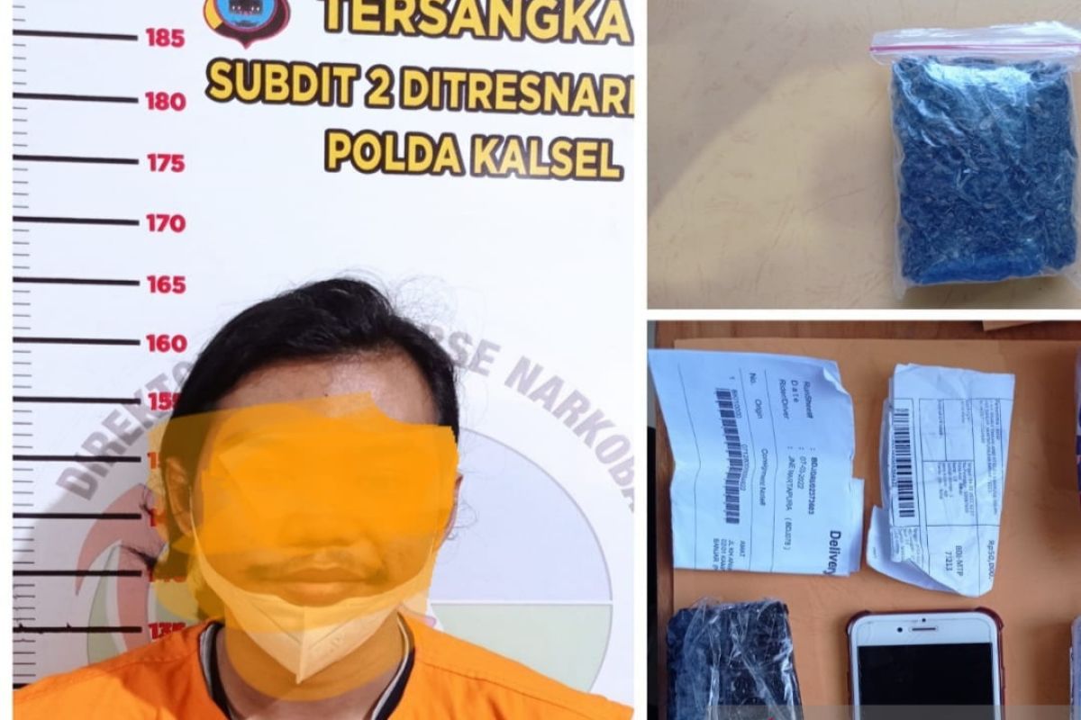 Ditresnarkoba Polda Kalsel ungkap pasokan ganja via online di pedesaan