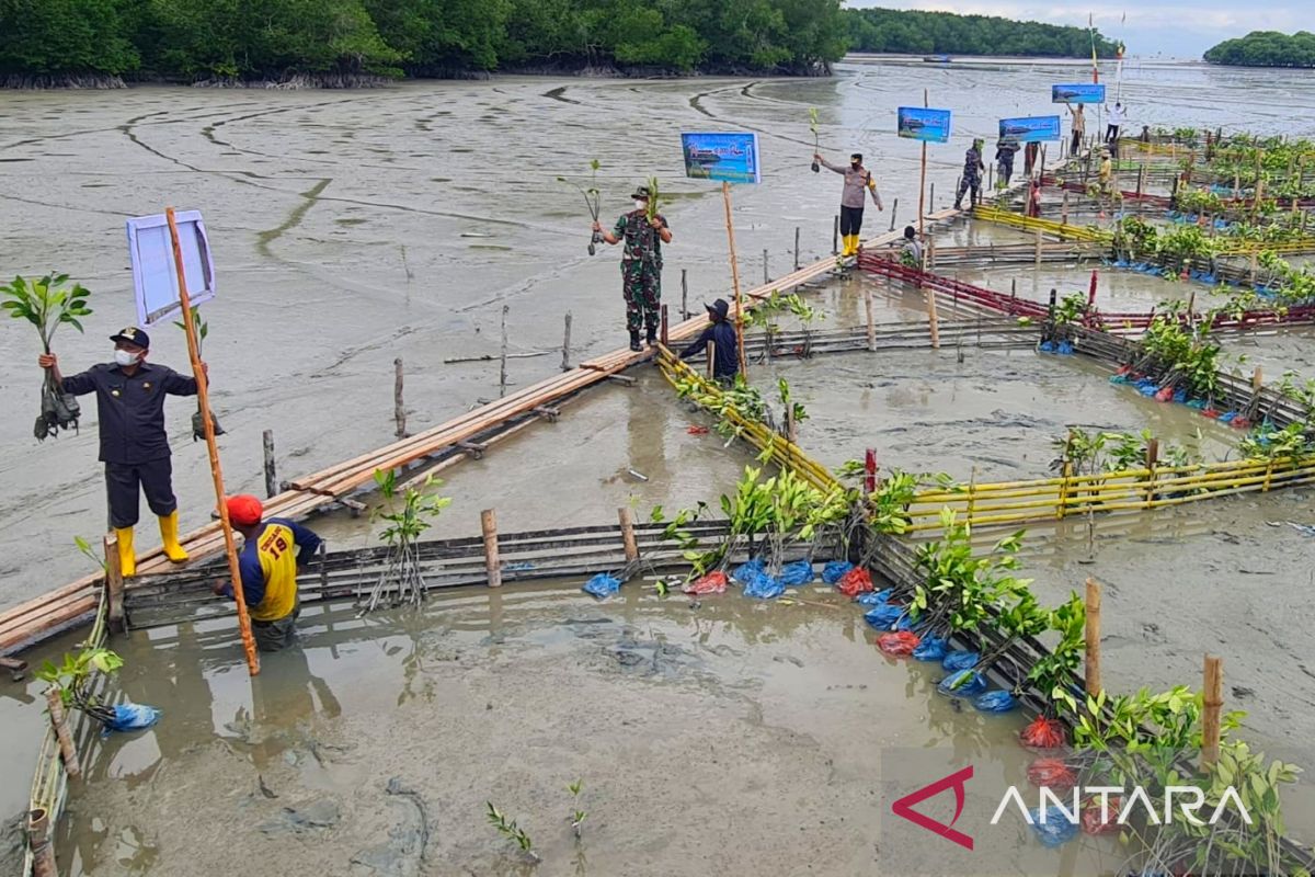 Bupati Asahan bersma forkopimda tanam 10.000 pohon mangrove di Desa Silo Baru