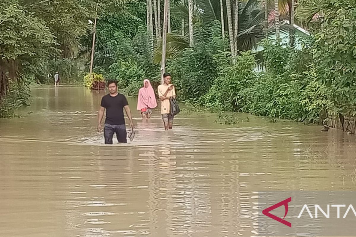 BPBA: Dua kecamatan di Aceh Utara terendam banjir 2.243 jiwa terdampak