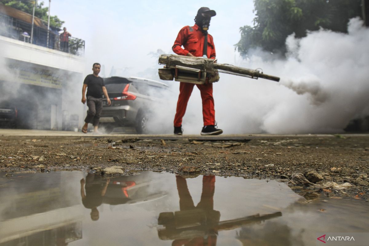 Pemkot Jaktim imbau warga waspadai DBD saat musim hujan