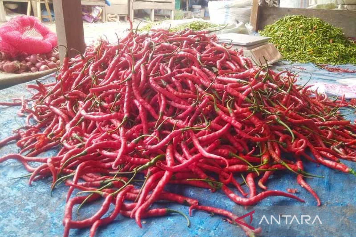 Harga cabai merah di Aceh Selatan Rp54 ribu per kilogram