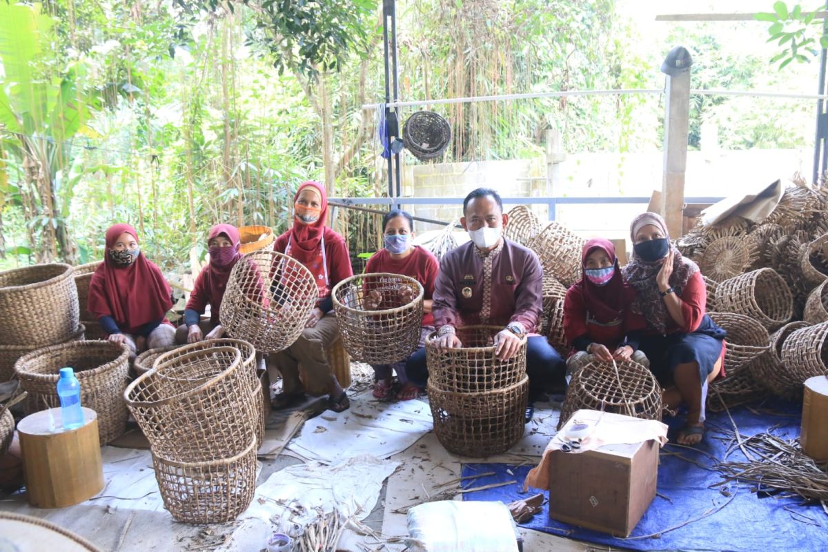 Wabup Pringsewu kunjungi pengrajin eceng gondok di Bantul