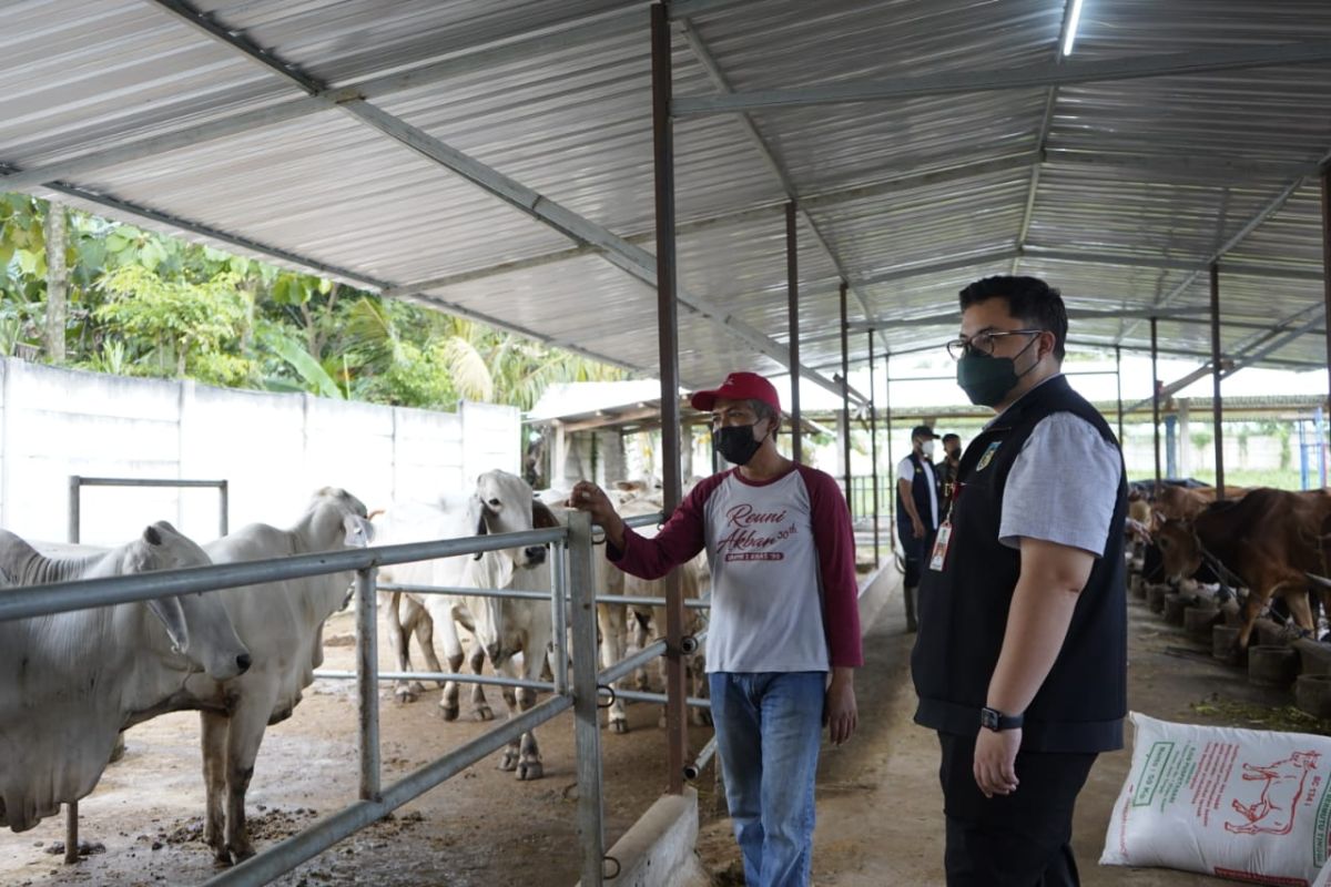 Pemkab Kediri dorong pemanfaatan limbah kotoran sapi untuk pupuk dan biogas