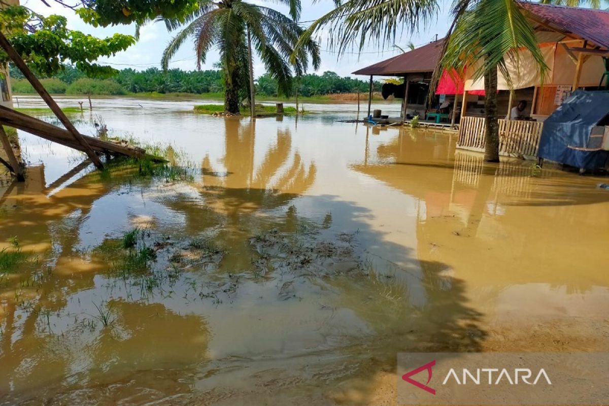 Bosan kena banjir warga pesisir Aceh Tamiang ungkapkan perasaan gundah lewat sajak pantun