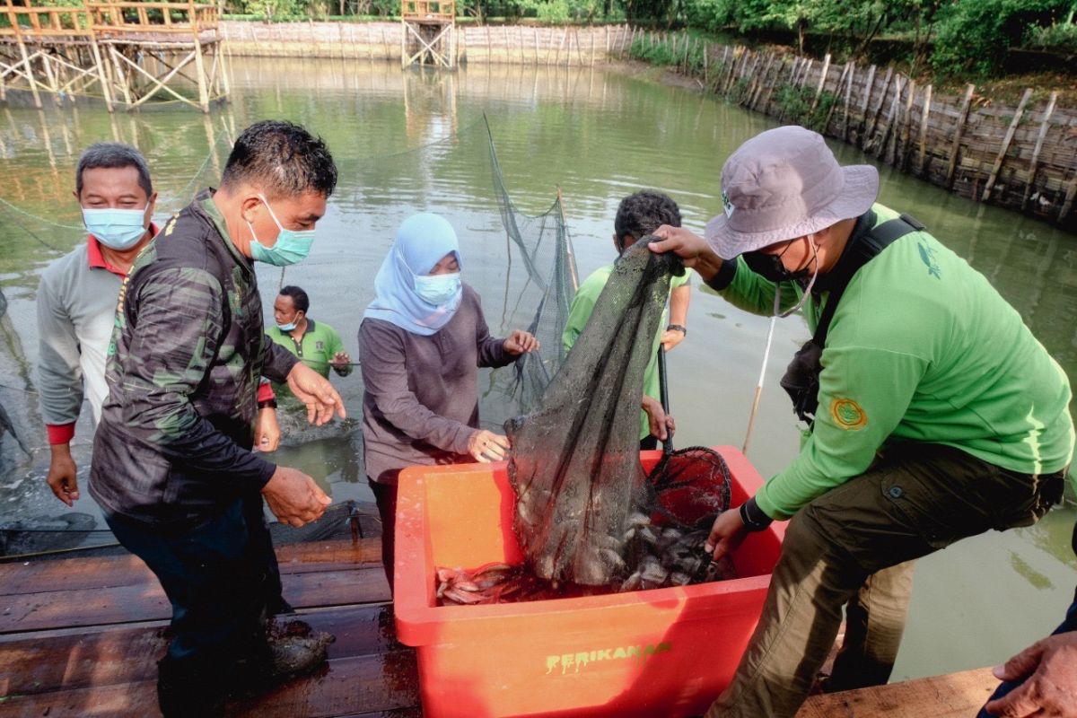 DKPP bagikan hasil panen ikan nila dan jagung ke warga MBR di Lakarsantri Surabaya
