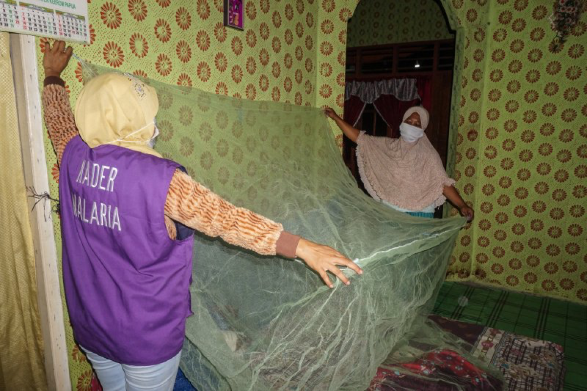 Dinkes Biak bagikan kelambu untuk mencegah malaria