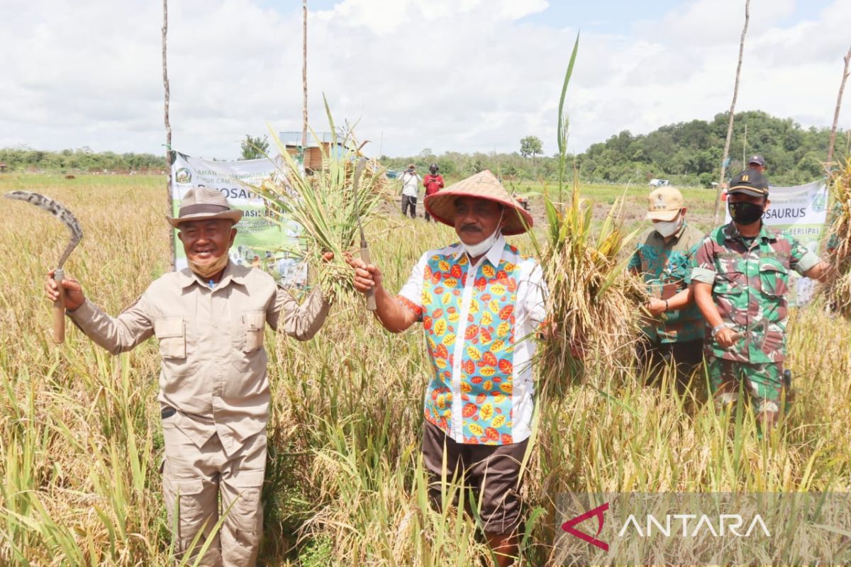 Bupati Belitung mendorong petani gunakan pupuk organik