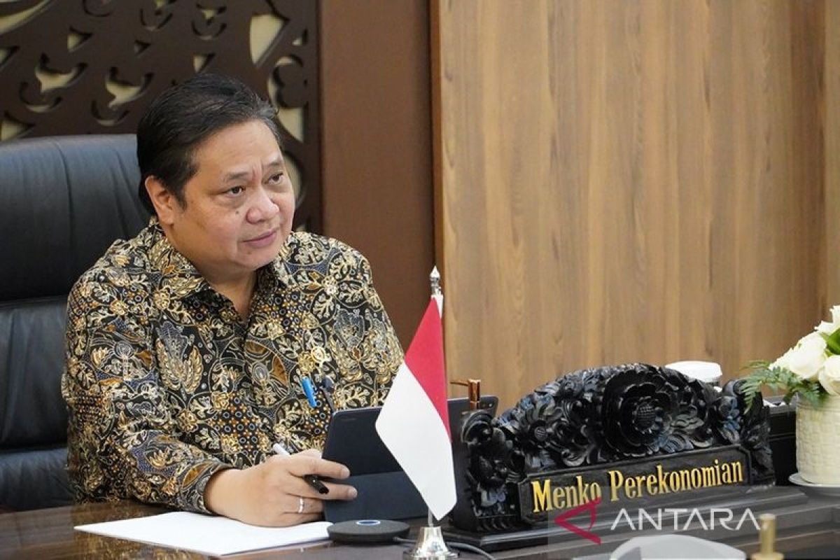 Airlangga: Investasi ekonomi hijau dan biru bakal percepat pembangunan