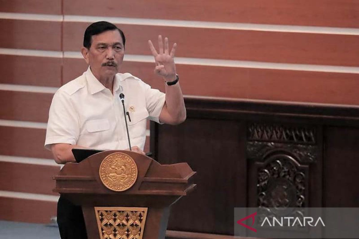 Luhut paparkan transformasi ekonomi Indonesia pascapandemi COVID-19 - ANTARA  News