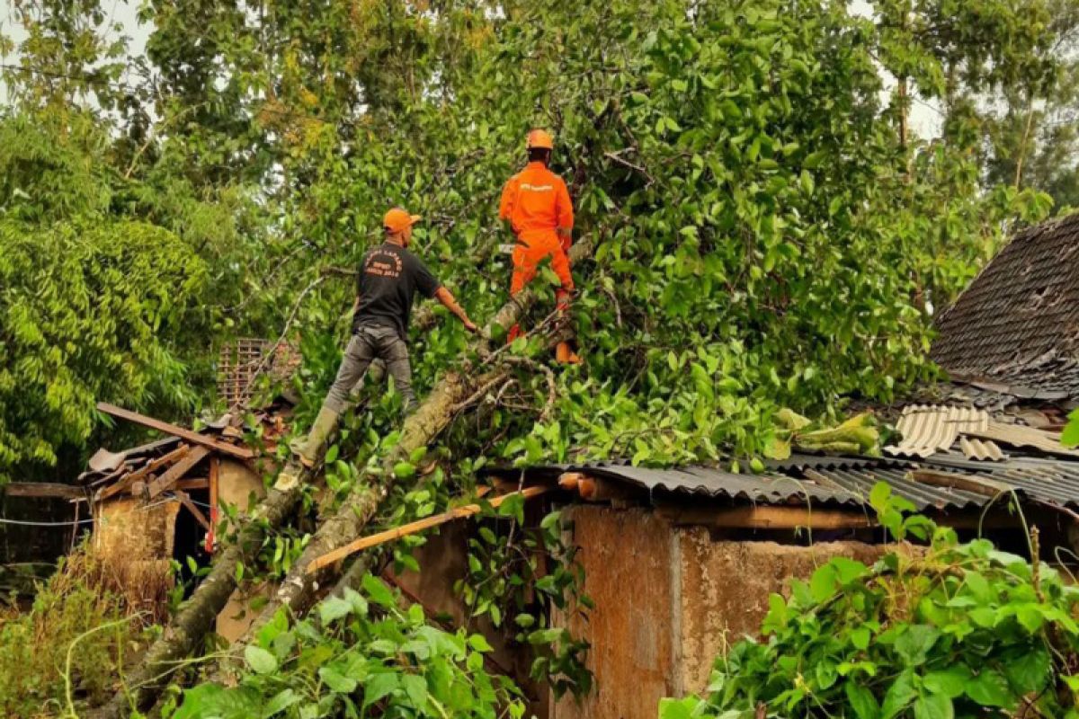 BPBD Gunung Kidul mencatat 654 jiwa terdampak bencana angin kencang