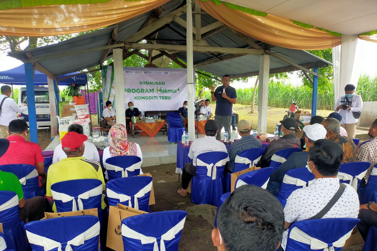 Stafsus III KBUMN  sosialisasikan program Makmur ke petani Sidoarjo