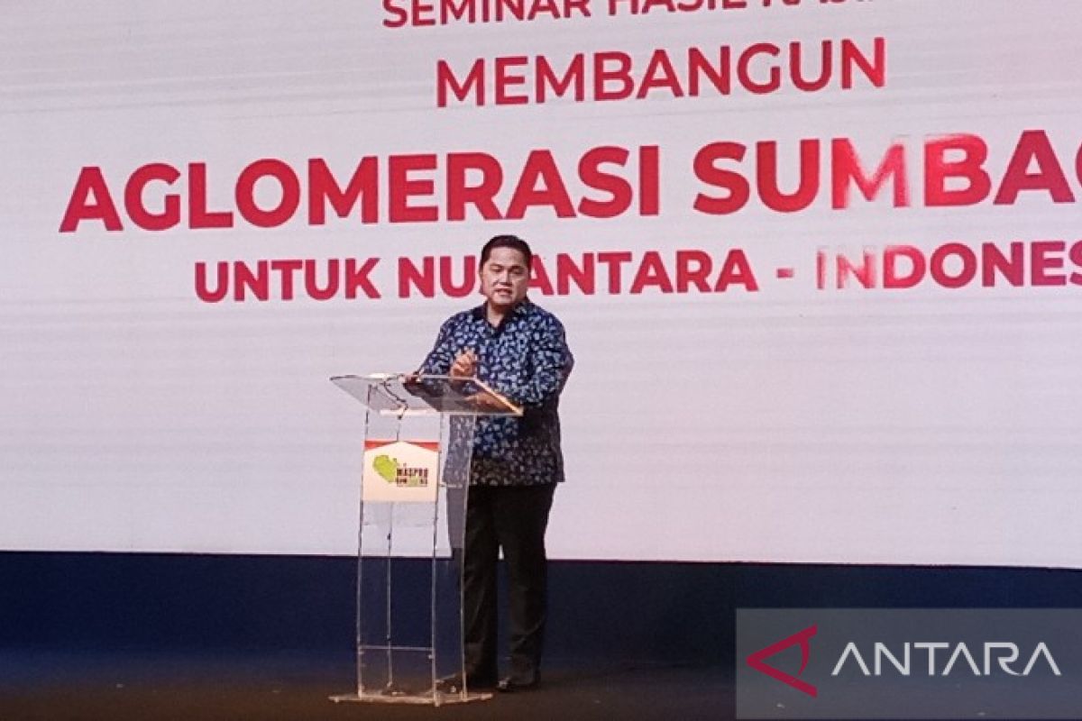 Erick Thohir: Program sawit rakyat  bakal ciptakan keseimbangan pasar