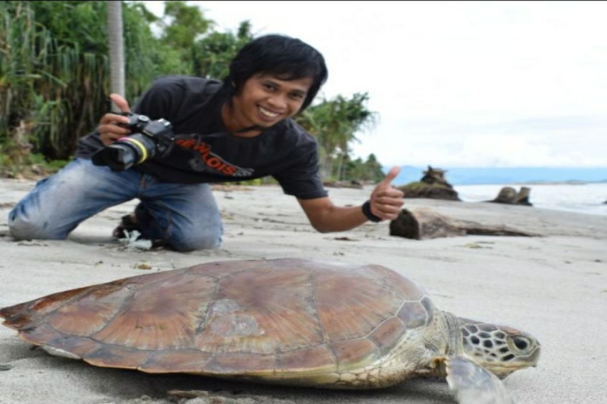 Seekor penyu terjebak di tambak, beginilah proses evakuasinya