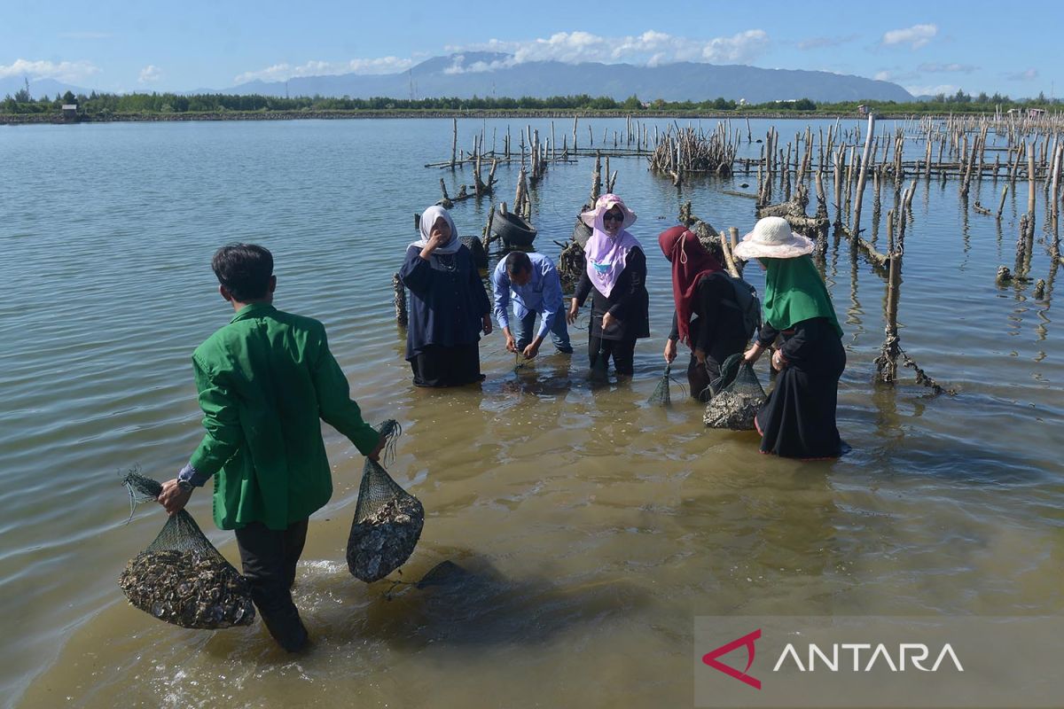 Restorasi waduk tempat budi daya tiram