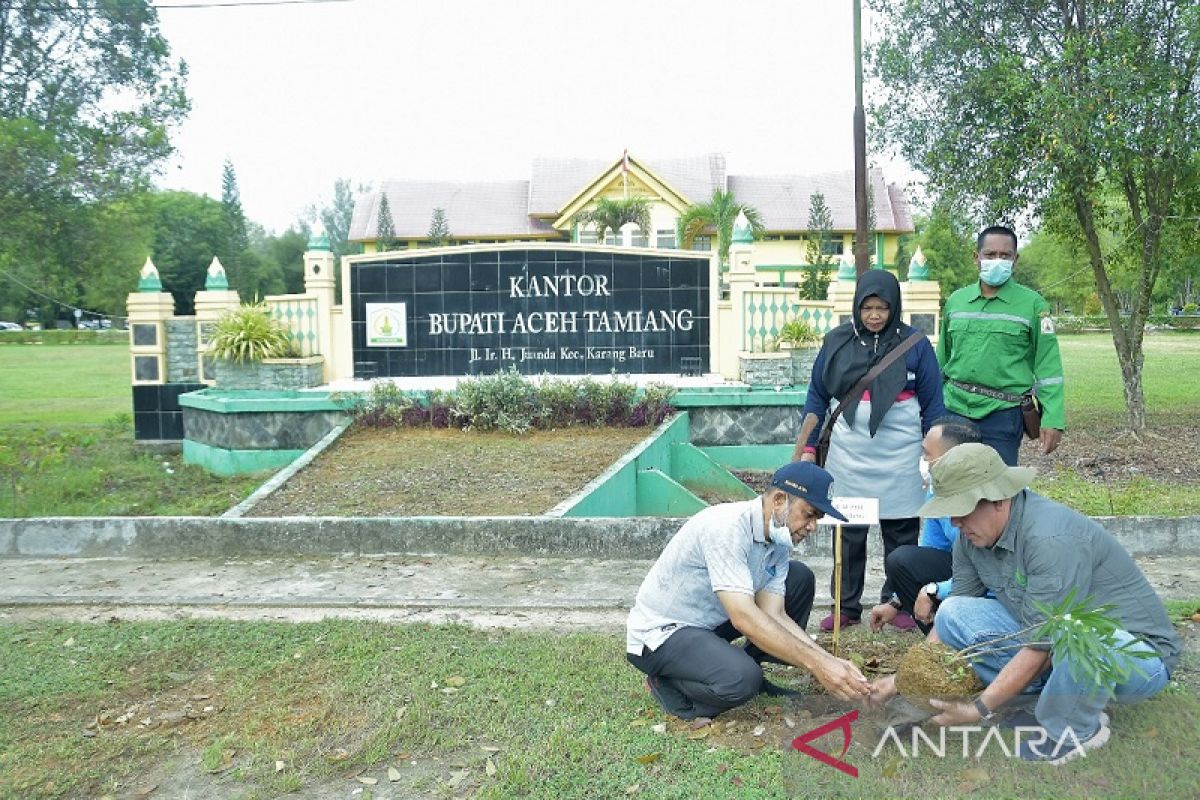Aceh Tamiang tanam 1.200 bunga hias untuk perindah pusat pemerintahan