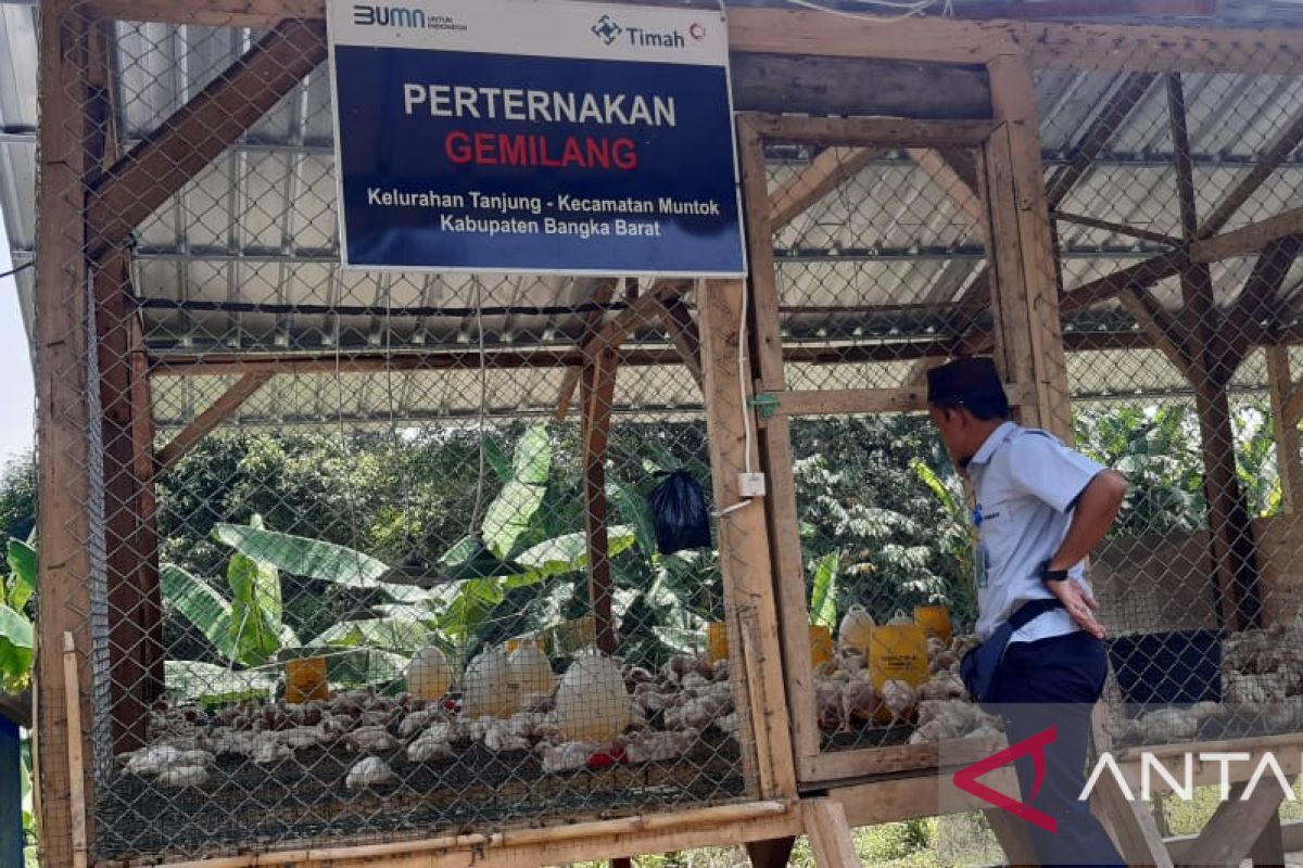 Kampung Amoi, Cara PT Timah Geliatkan Ekonomi Masyarakat di Kelurahan Tanjung