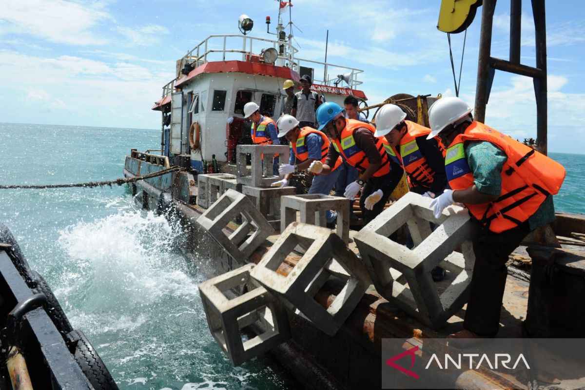 PT Timah tenggelamkan 1.920 karang buatan di laut Babel