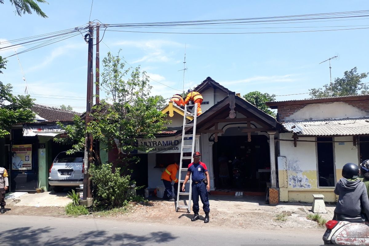 Petugas Damkar Kediri evakuasi sarang tawon setelah ada warga tersengat