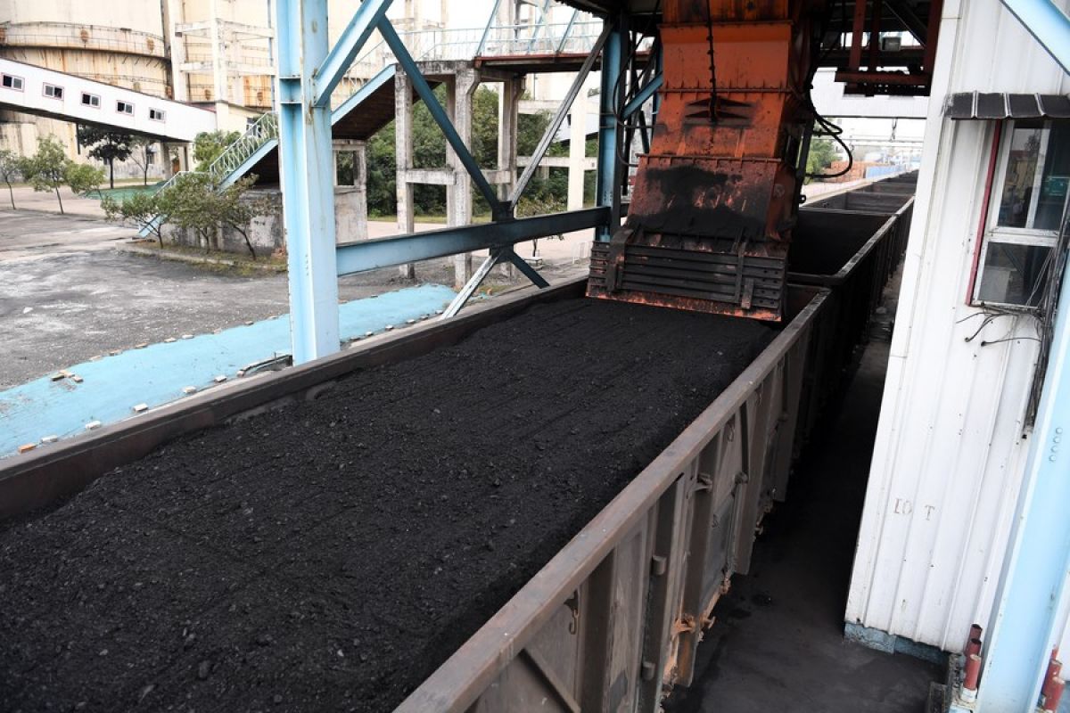 Produksi batu bara China tumbuh di tengah upaya stabilkan pasokan pasar