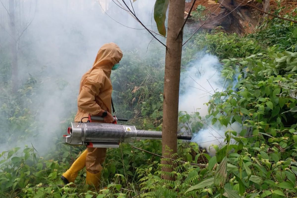 Kawasan kemah Presiden Jokowi di Kaltim steril dari malaria