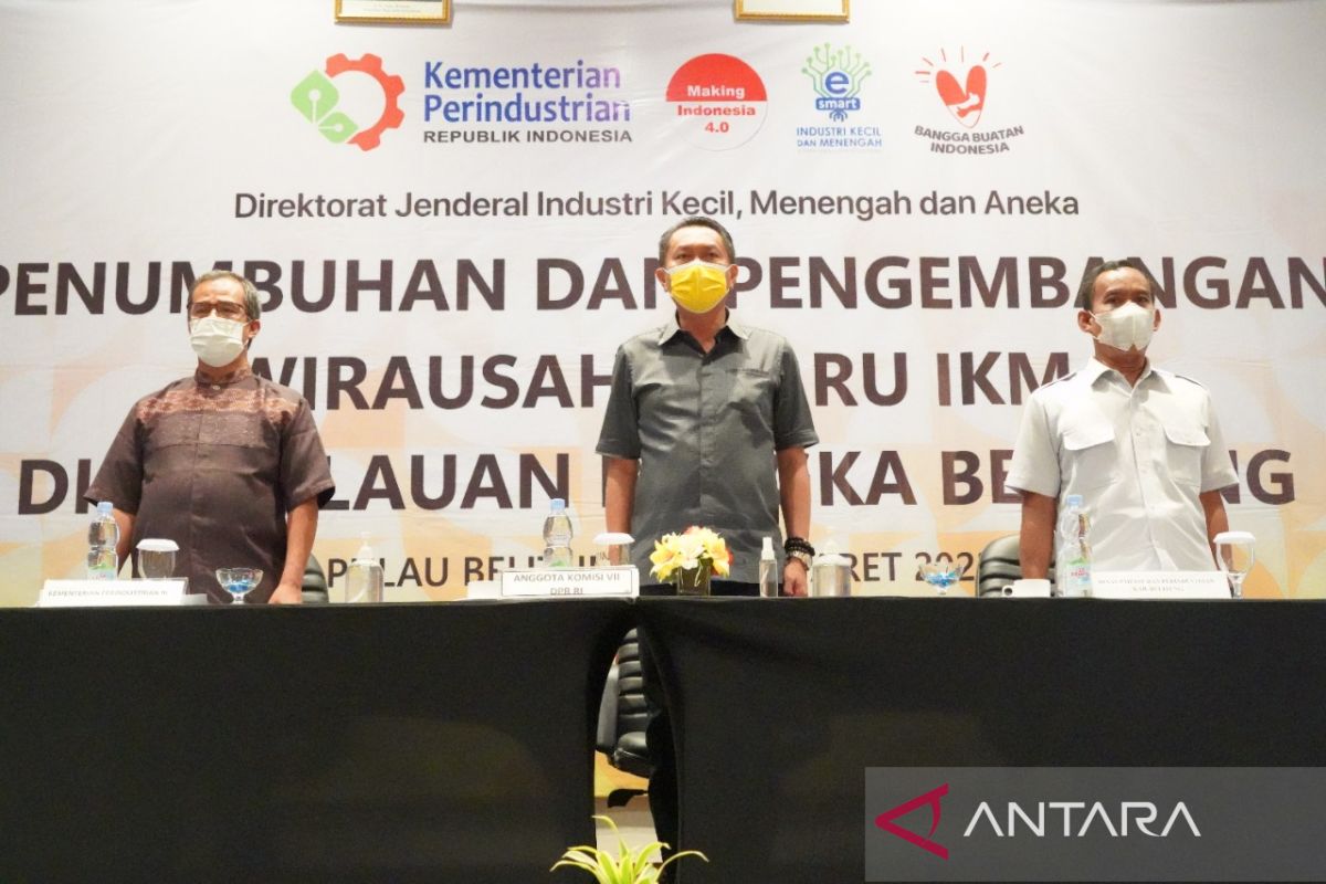Anggota DPR RI Bambang Patijaya prakarsai pelatihan wirausaha baru dan IKM di Bangka Belitung