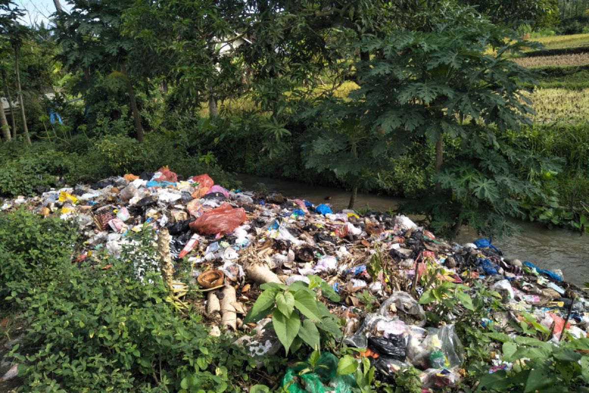 Sampah plastik di hutan penyangga sumber mata air dibersihkan