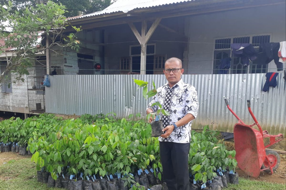 Ini anggaran Pengembangan hortikultura Aceh  Jaya