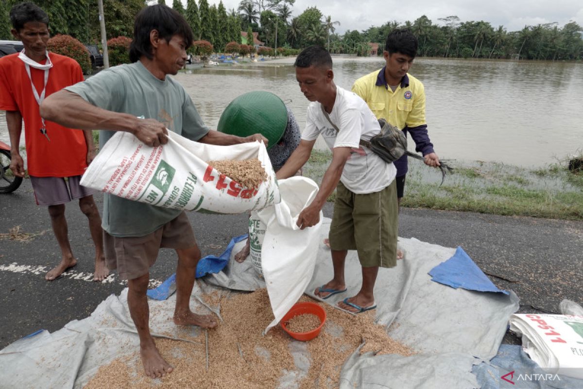 Penyerapan gabah Bulog Banyumas capai 28.000 ton