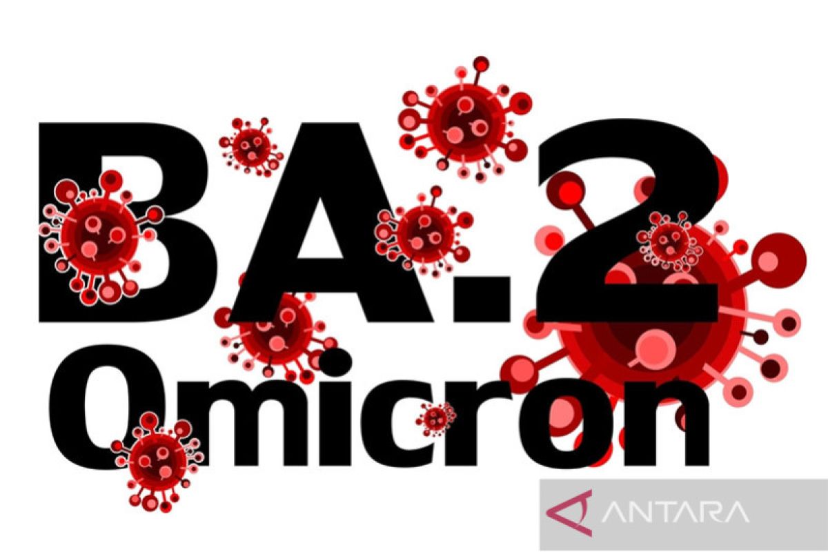 Pemerintah mengecek ketersediaan RS-obat untuk mengantisipasi Omicron BA 4-BA 5