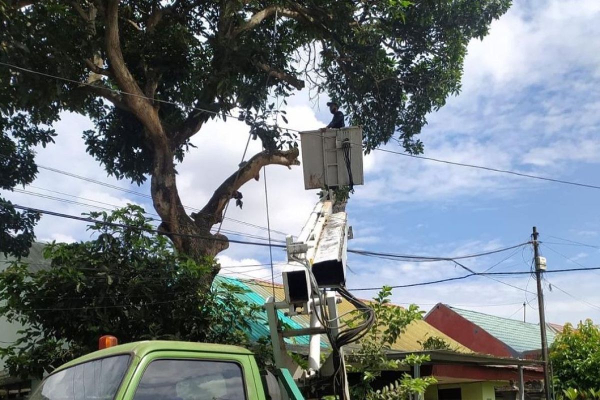 DLHK Denpasar pangkas pohon perindang antisipasi angin