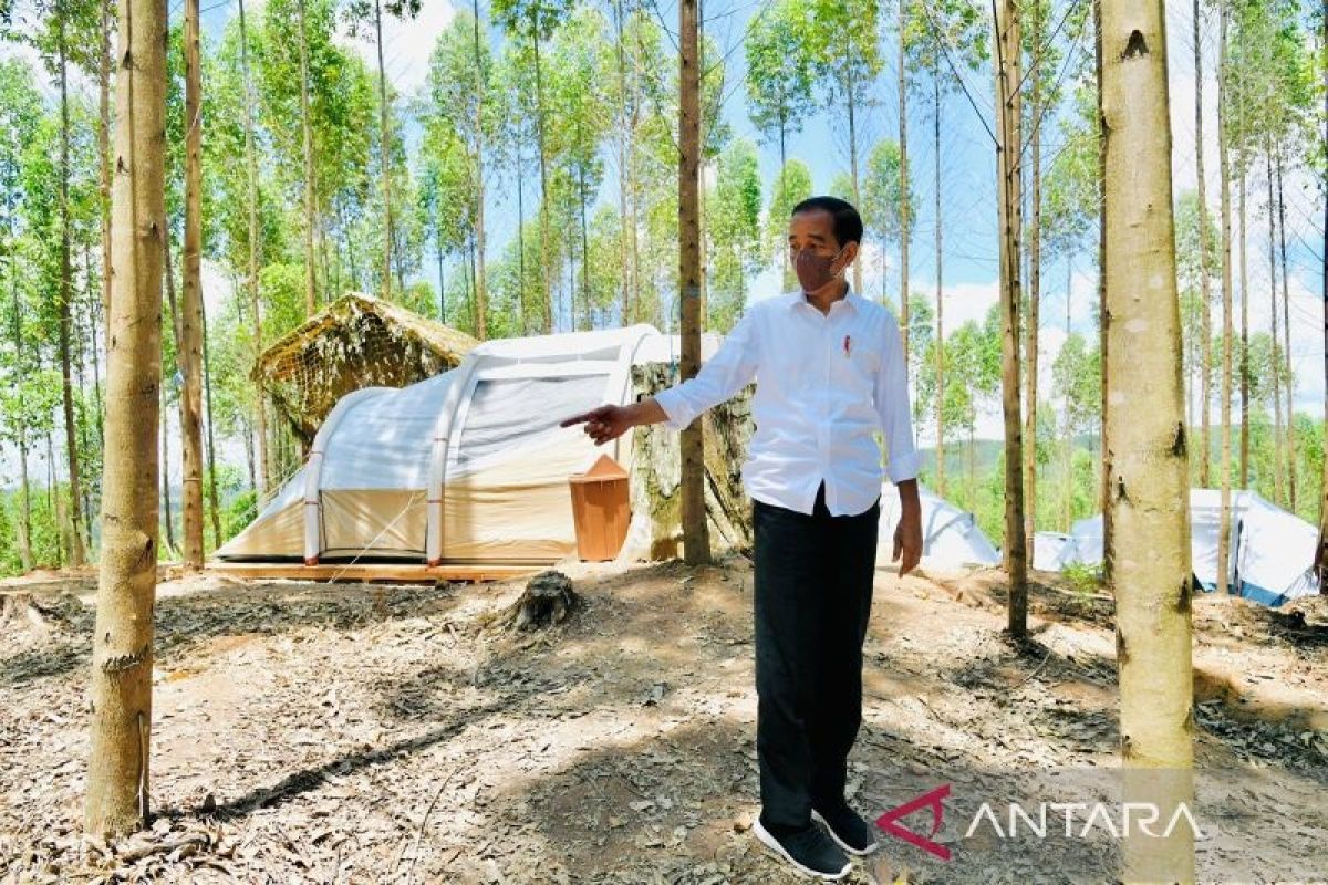 Presiden Jokowi: Istana Negara di IKN dibangun di dataran tertinggi