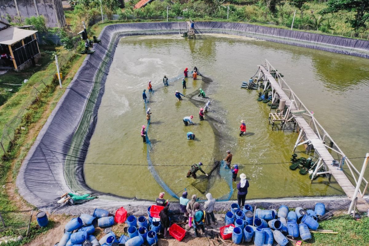 Startup aquatech Delos dorong pengembangan SDM di sektor maritim