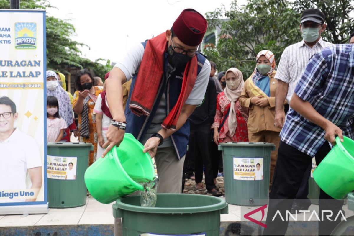 Sandiaga Uno gulirkan program budidaya lele dalam ember di RSK Petamburan