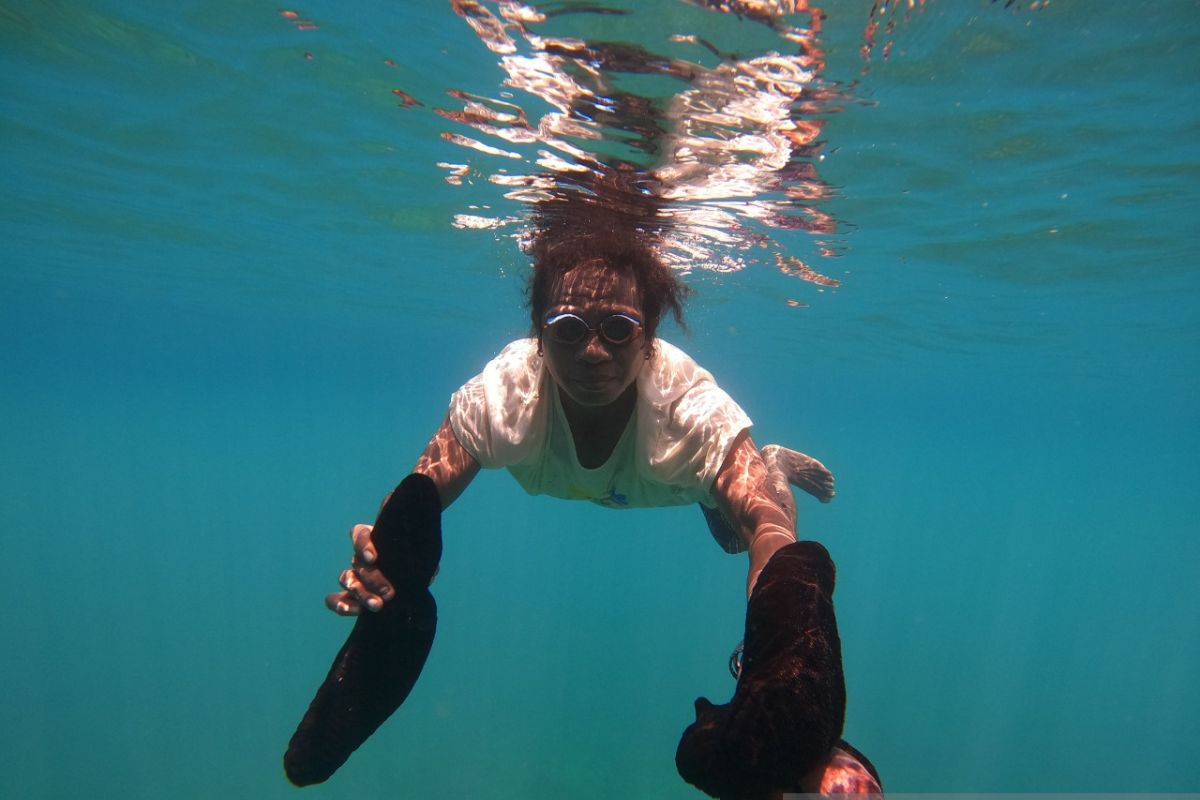 Kelompok perempuan di Raja Ampat panen biota laut hasil konservasi adat