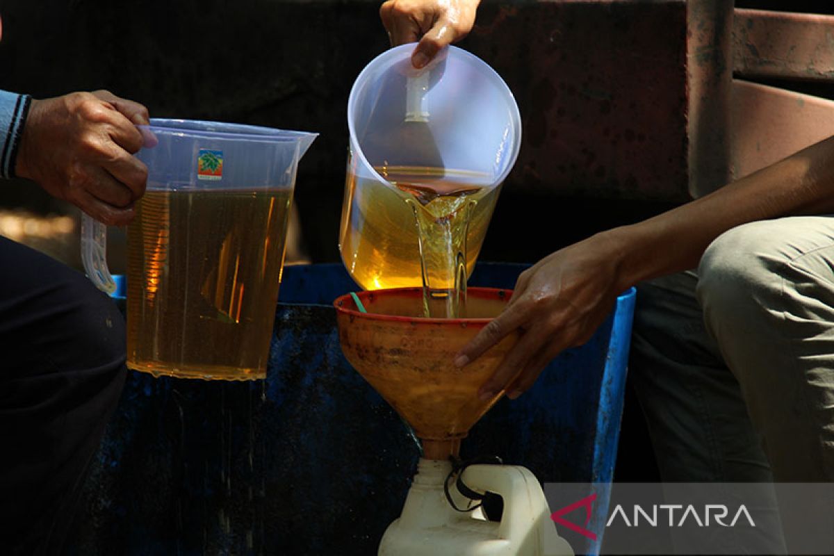 Pemerintah subsidi minyak goreng curah Rp14 ribu per liter