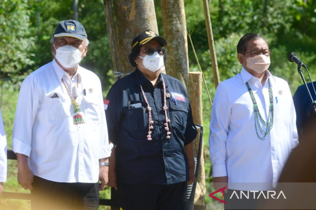 IKN terapkan kaidah konservasi dan perhatikan koridor satwa