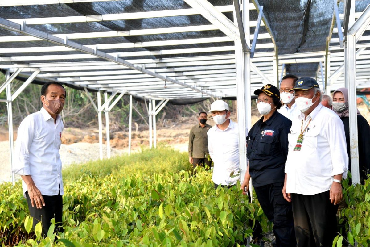 Mentawir Nursery to support land rehabilitation in Nusantara forests