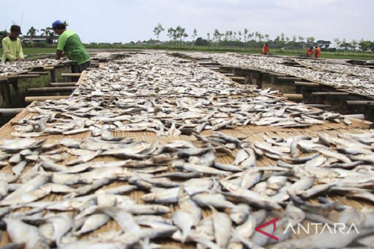 Dinas Perikanan Karawang dorong pengembangan pelaku UKM pengolahan ikan