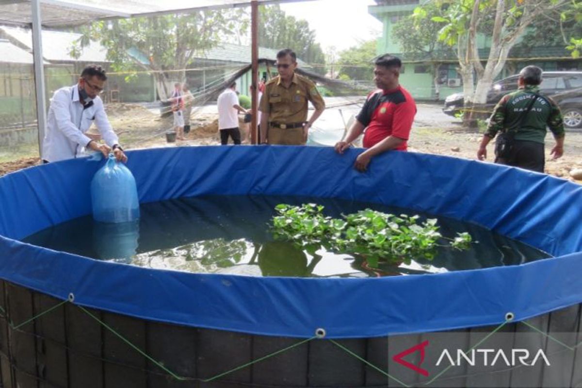 Banjarmasin govt pushes tarpaulin pond for fish farming