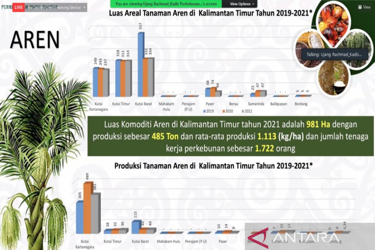 Produksi aren Kaltim fluktuatif dalam tiga tahun