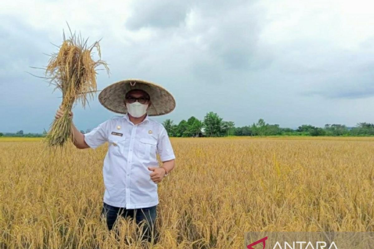 Bupati Morut  ungkap sebab kemiskinan tak turun padahal investasi naik