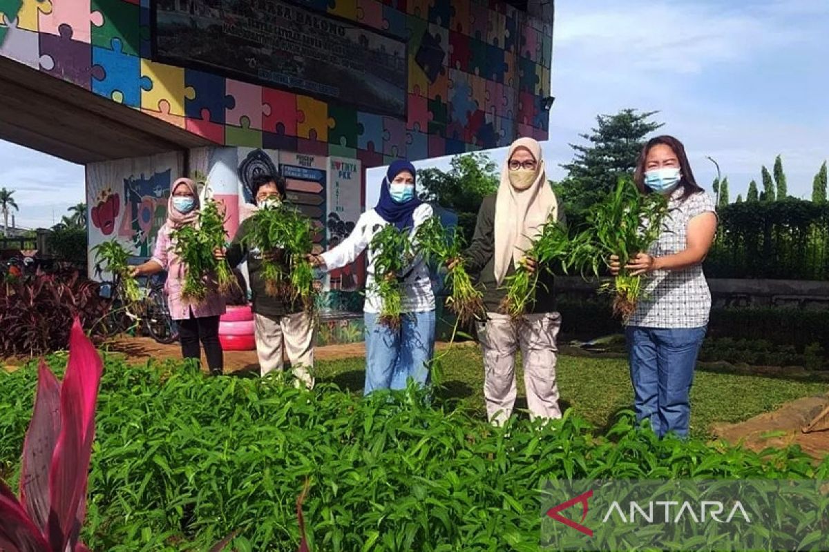 DKI penuhi sendiri lima persen kebutuhan sayur dan buah pada 2030