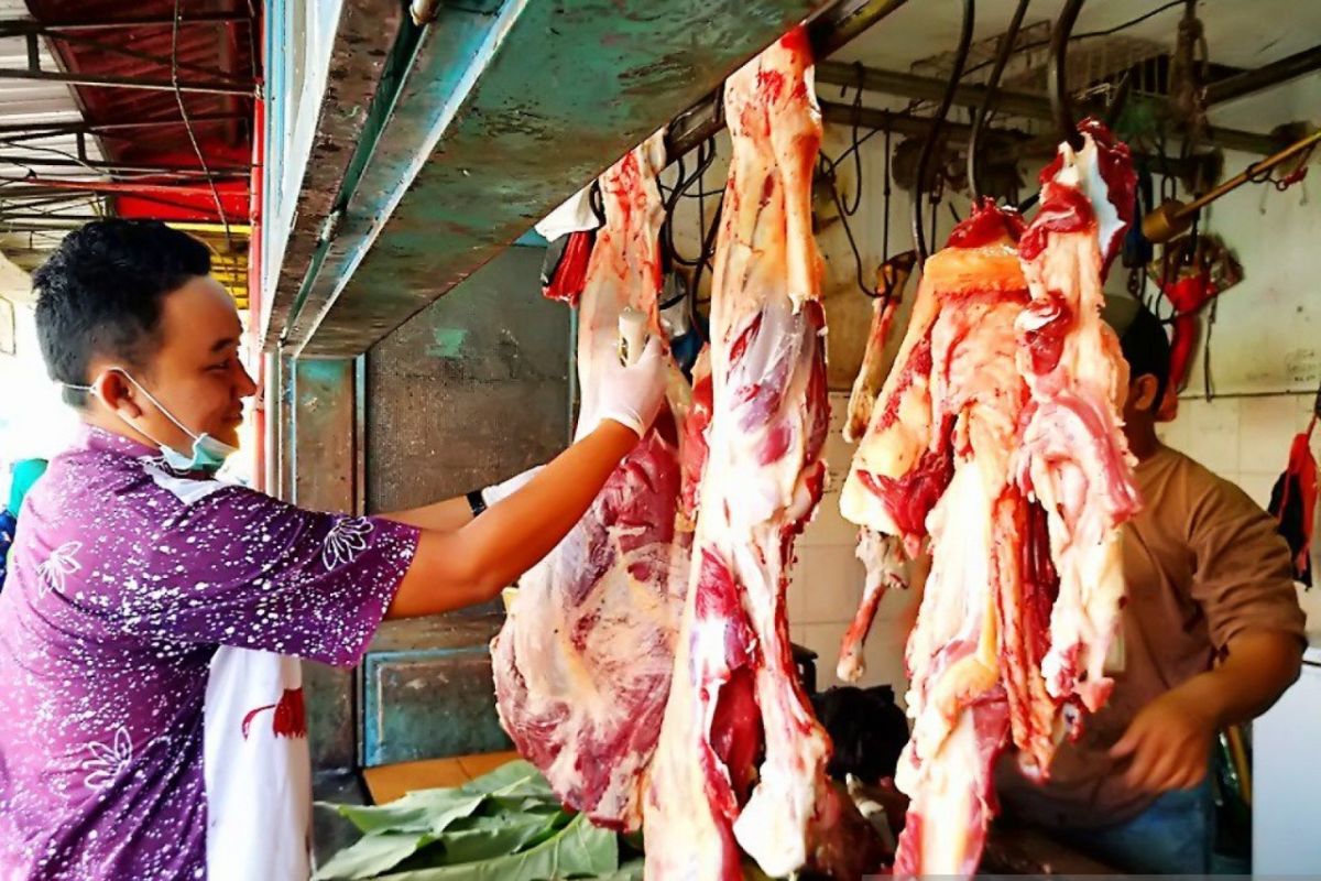 Stok daging sapi di Lumajang aman menjelang Ramadhan