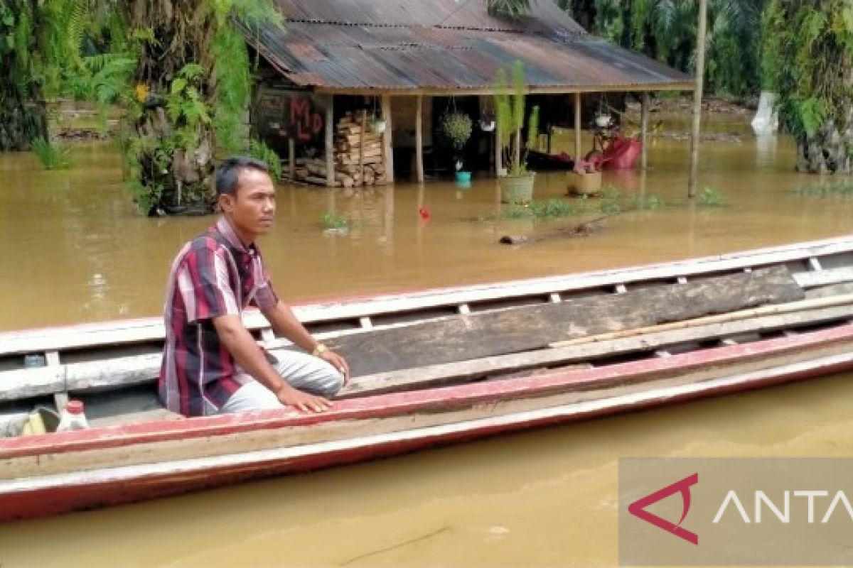 Ratusan rumah di Tapsel kembali terendam banjir