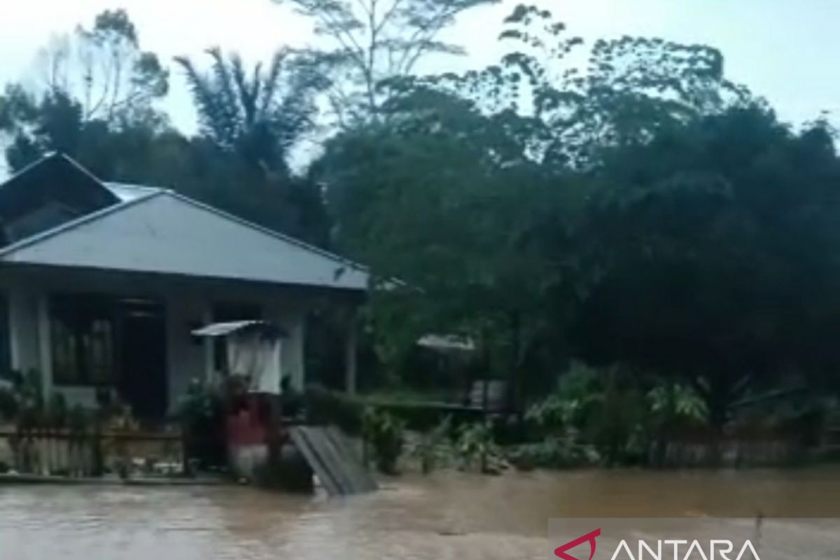 Desa Ampuriwo Kabupaten Poso  dilanda banjir karena curah hujan tinggi