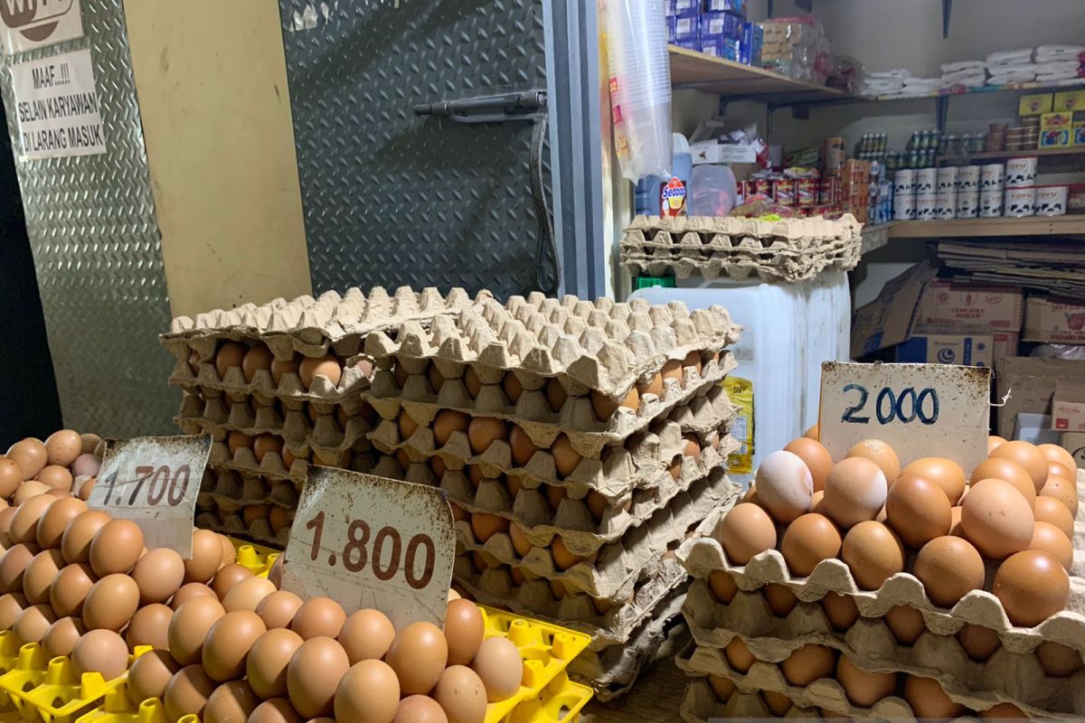 Harga telur ayam di Gorontalo naik