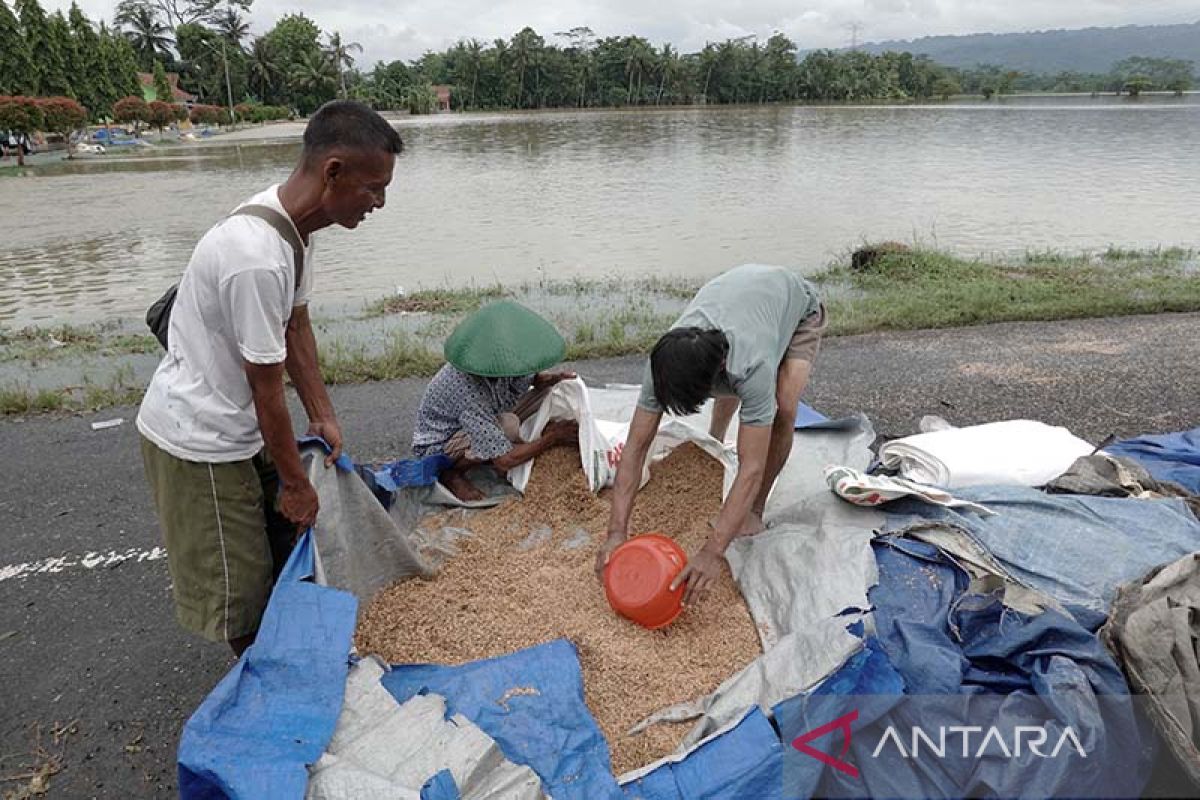 BMKG peringatkan potensi hujan lebat sebagian besar wilayah Indonesia