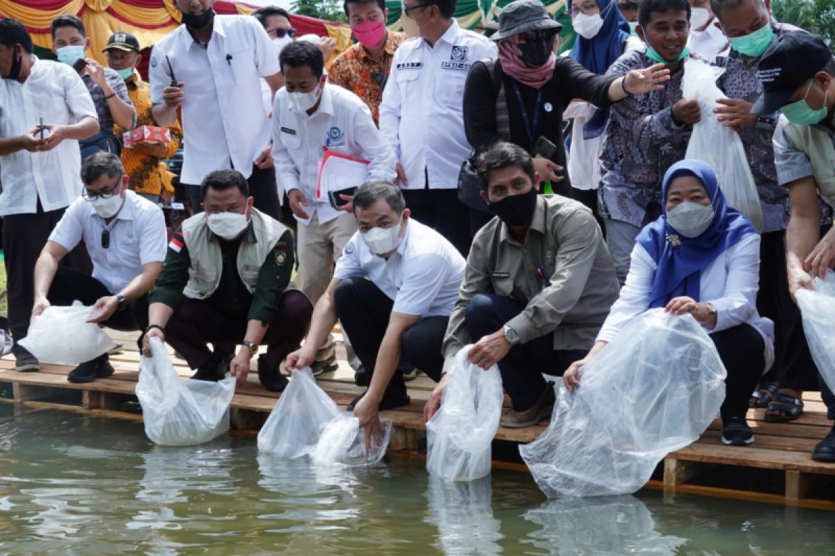 KKP-FAO tebar benih puluhan ribu ikan endemik di Kampar Riau